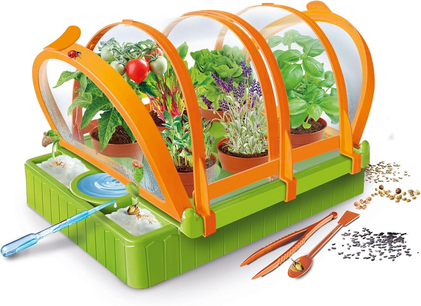 Kit de Cultivo de Plantas com Estufa