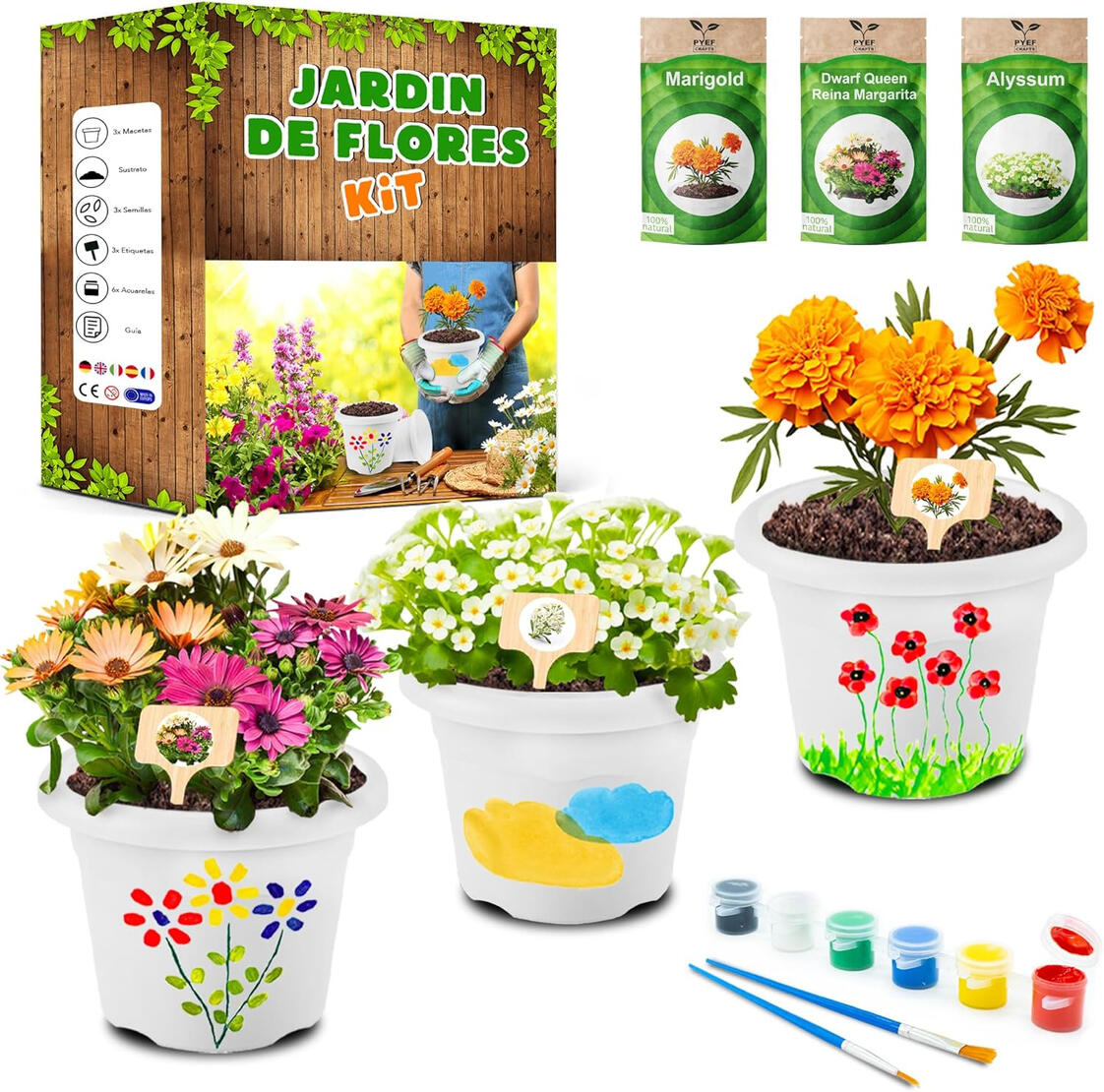 Kit de Cultivo de Flores e Pintura