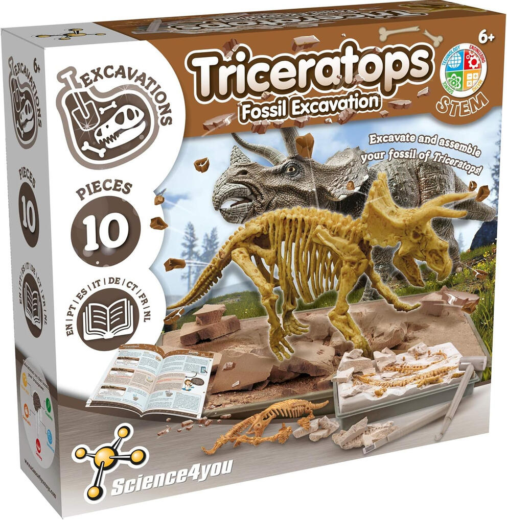 Kit de Escavação de Fóssil de Triceratops