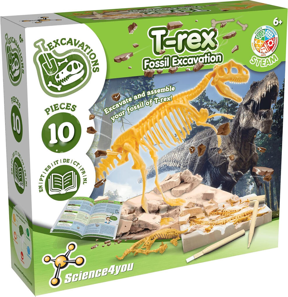 Kit de Escavação de Fóssil de T-Rex