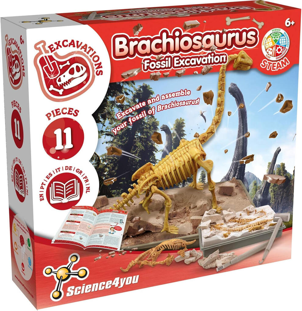 Kit de Escavação de Fóssil de Brachiosaurus