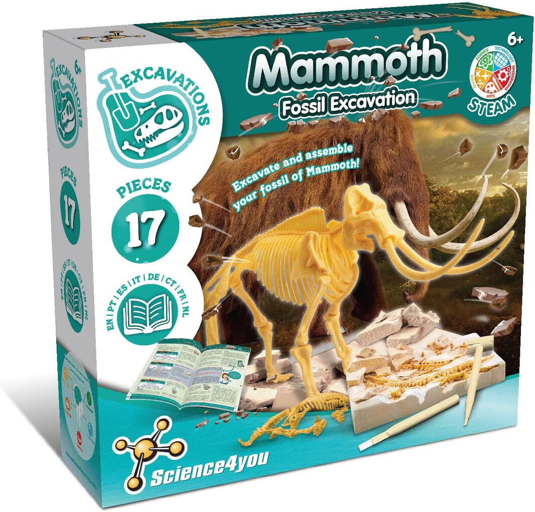 Kit de Escavação de Fóssil de Mamute