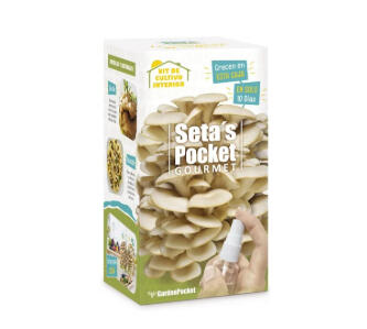 Kit de Cultivo de Cogumelos